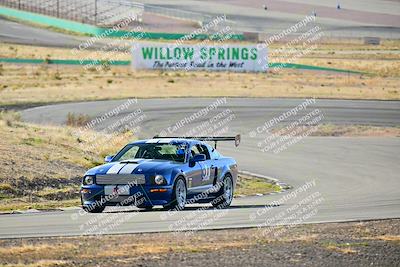media/Mar-22-2025-West Coast Racing (Sat) [[0d49b412c8]]/Blue Group/Session 1 (Turn 4-Exterior)/
